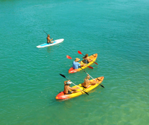 guided-kayak-tour-in-key-west-1