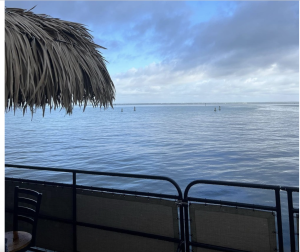 Screenshot 2025-05-24 at 9.50.36 AM